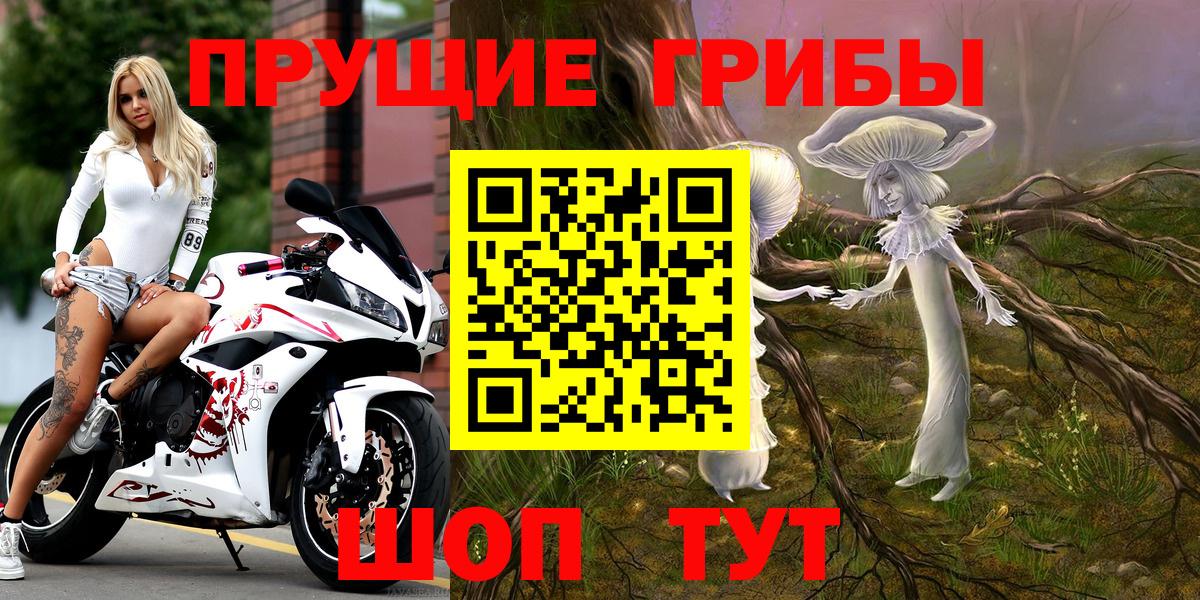 Псилоцибиновые грибы прущие грибы Чистополь