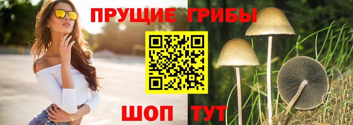 Чистополь  Галлюциногенные грибы Psilocybe  Вход с VPN  купить закладку  Псилоцибиновые грибы Psilocybine cubensis 